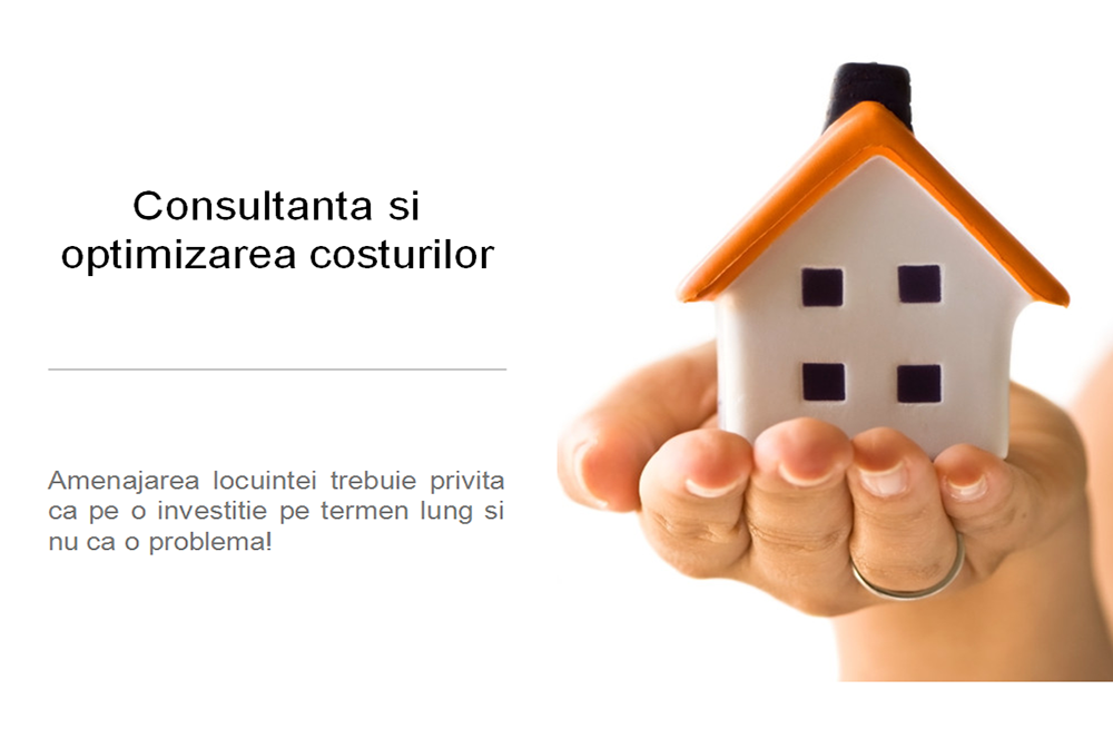 Servicii de consultanta District Sud